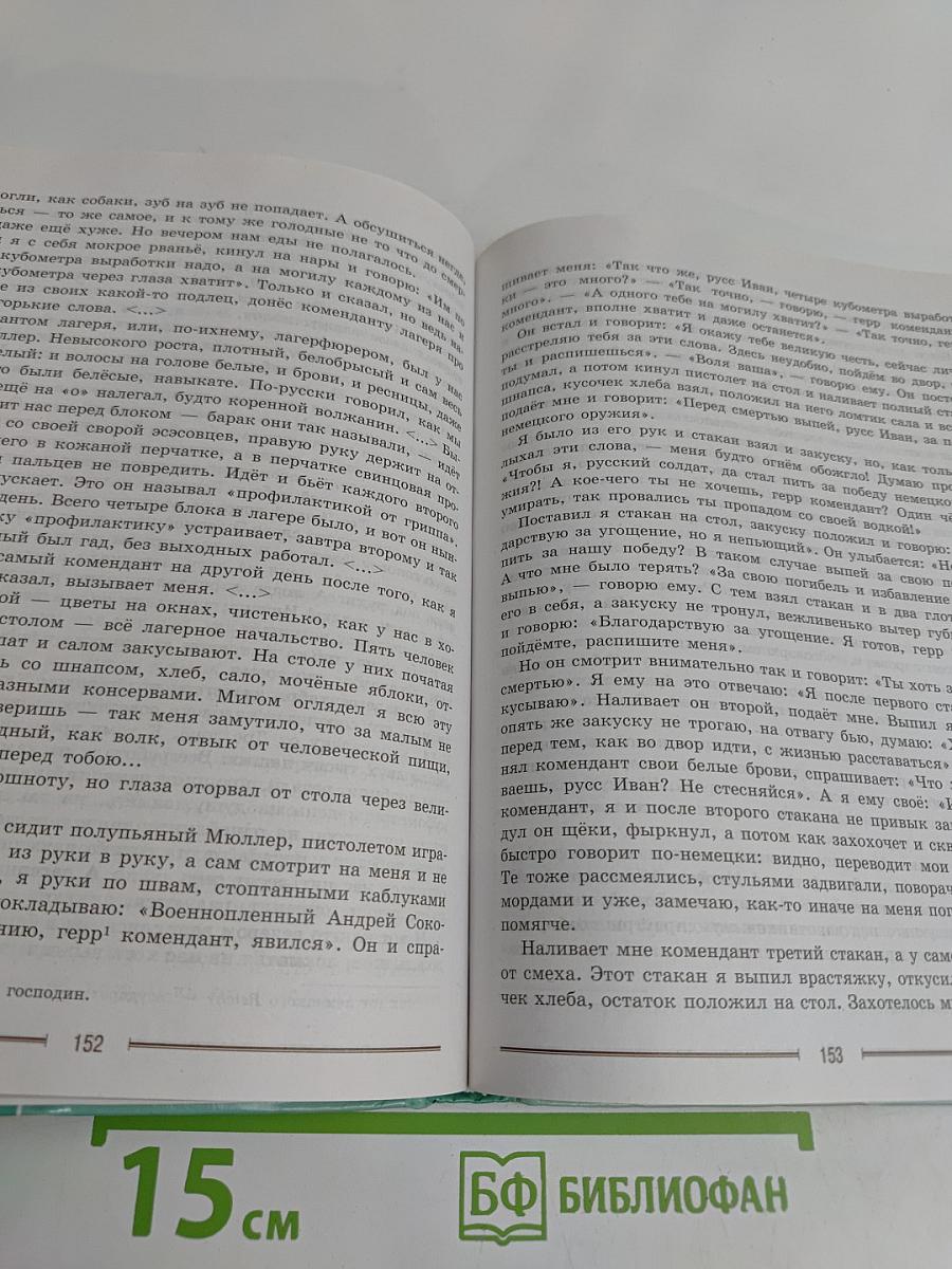 Литература. 9 класс. Учебник для общеобразовательных организаций. В двух частях. Часть 2