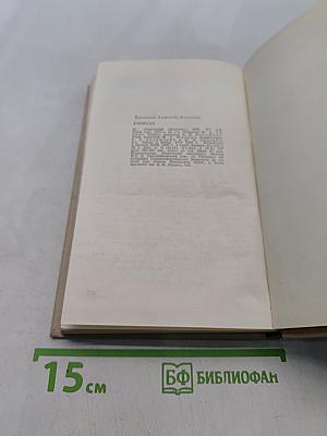 Блокада. Роман-книга