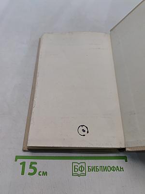 Блокада. Роман-книга