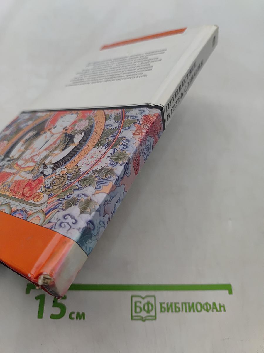 Путешествие в глубь сознания. Беседы с Далай-ламой о сне, видениях и смерти