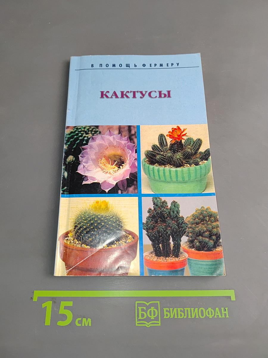 Кактусы