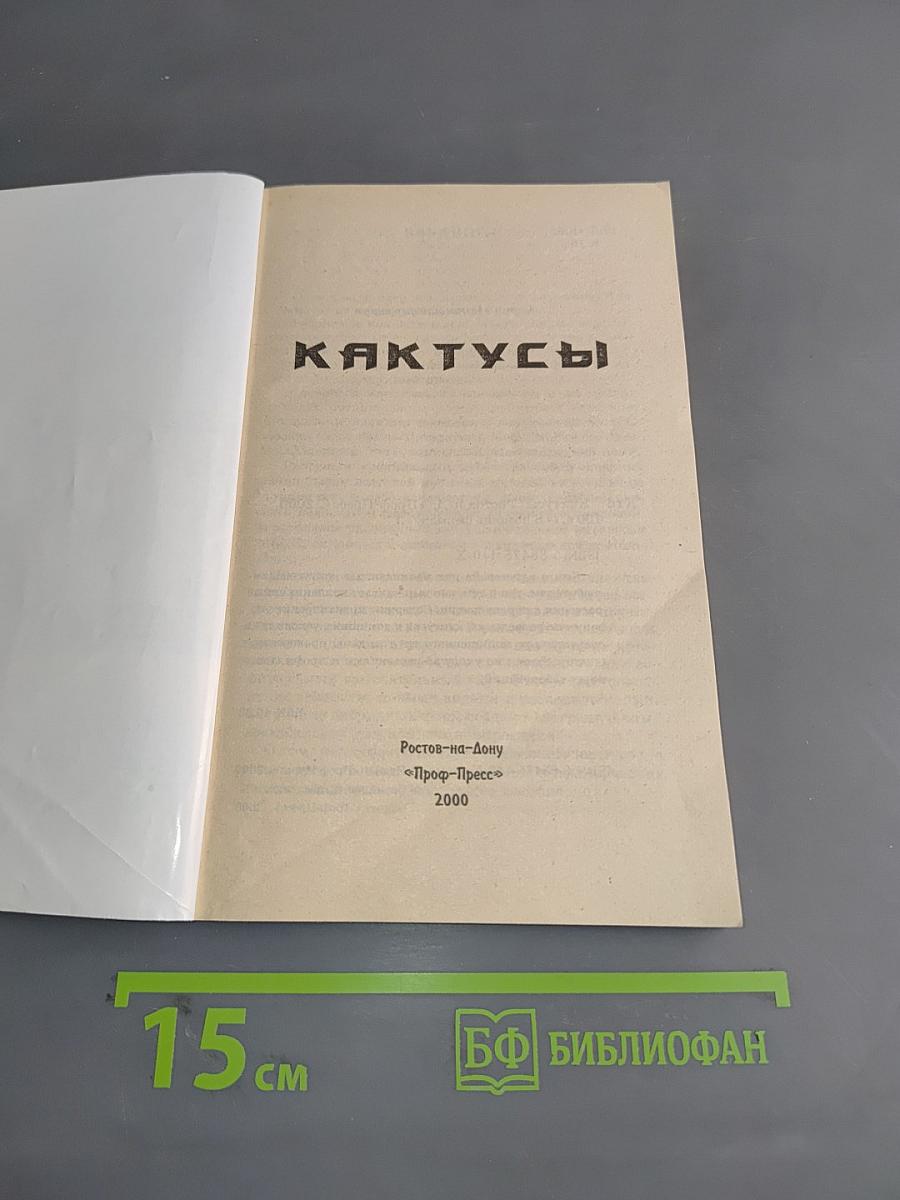Кактусы