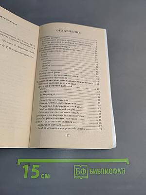 Кактусы