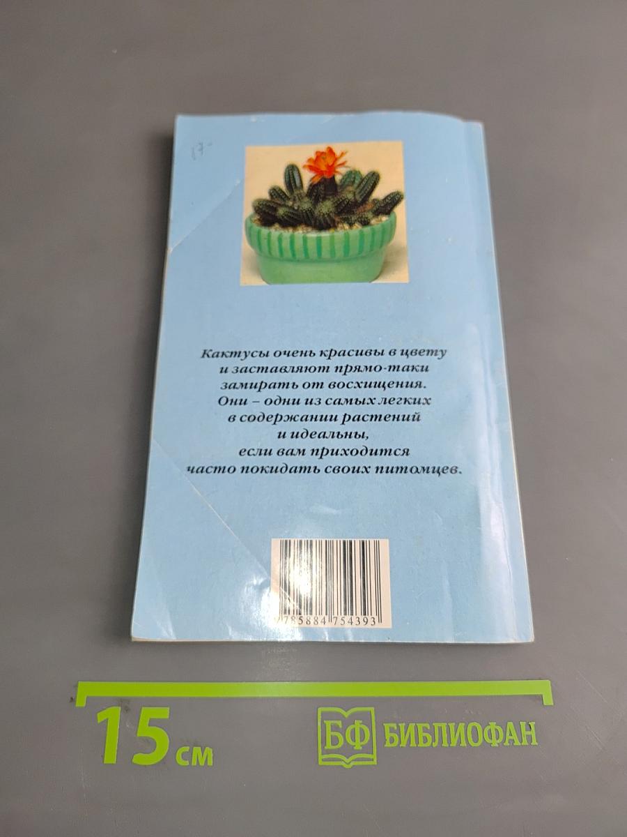 Кактусы