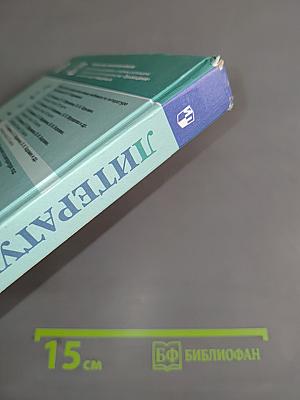 Литература 9 класс Часть 1