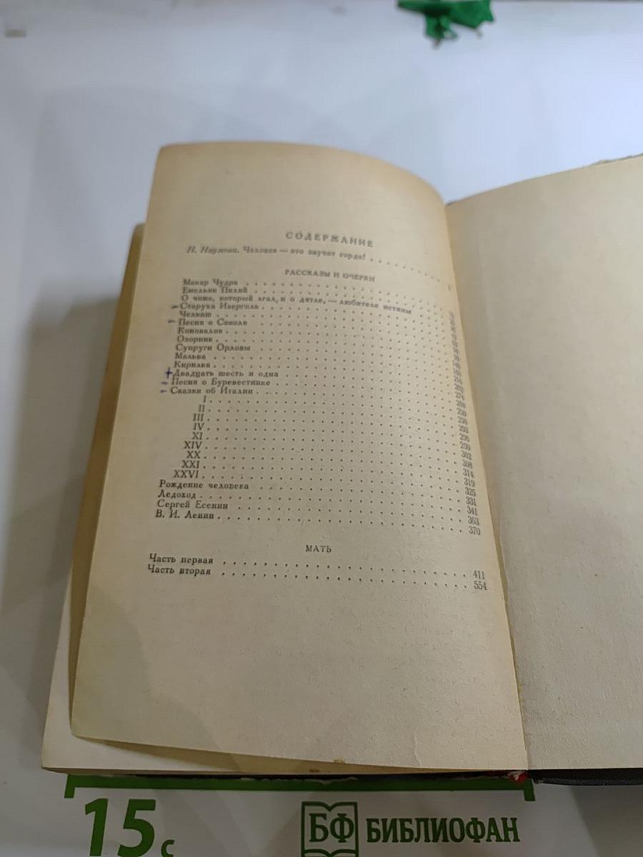 Рассказы и очерки. Мать