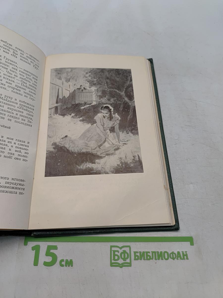 Собрание сочинений. Том шестой. Повести и рассказы 1851-1860 годов