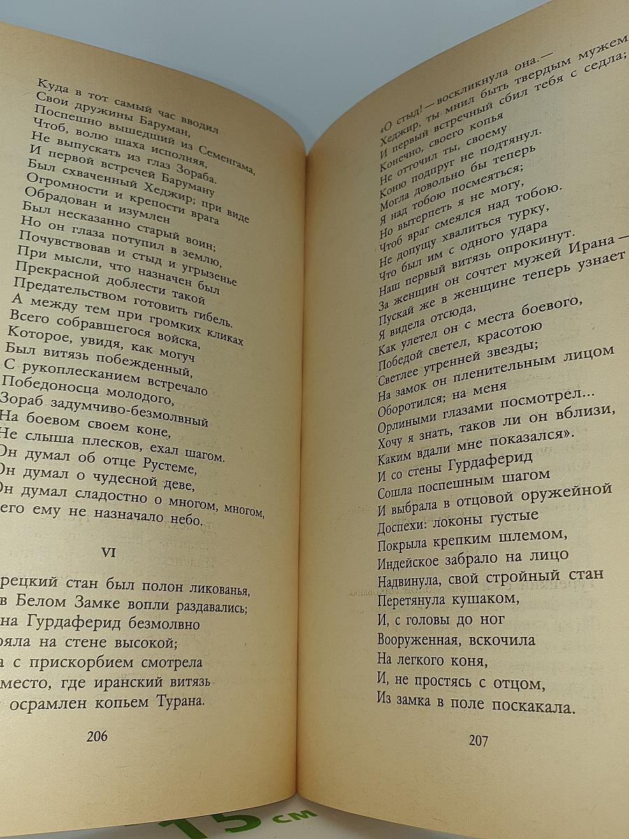 Баллады. Наль и Дамаянти. Рустем и Зораб. Дневники. Письма. Воспоминания современников