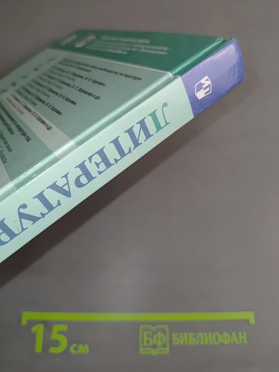 Литература. 9 класс. Учебник для общеобразовательных организаций. В двух частях. Часть 2