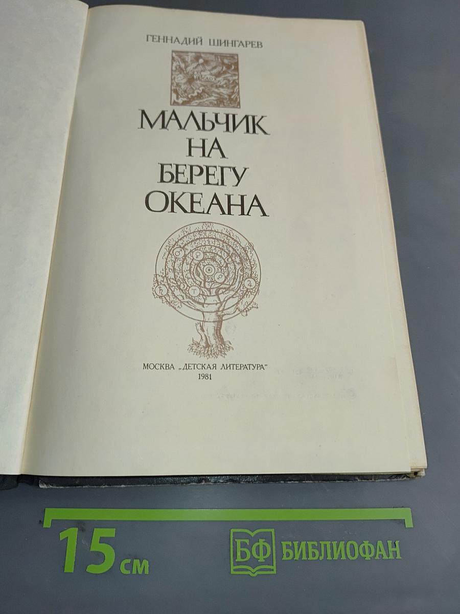 Мальчик на берегу океана