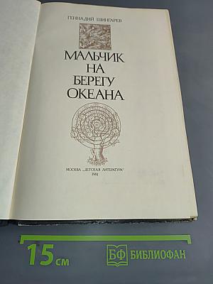 Мальчик на берегу океана