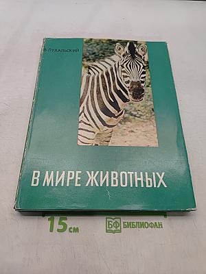 В мире животных