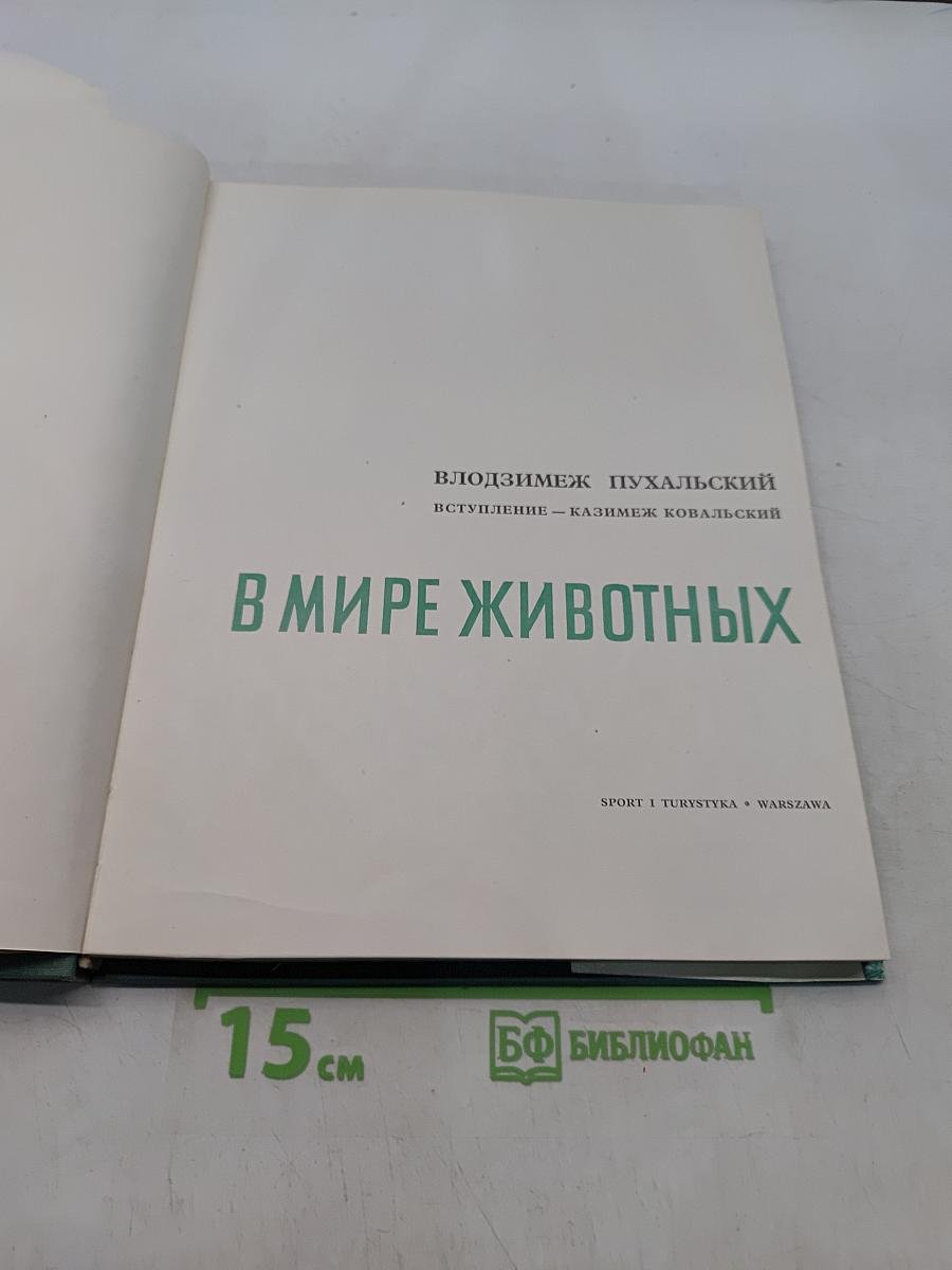 В мире животных