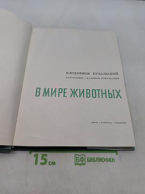 В мире животных