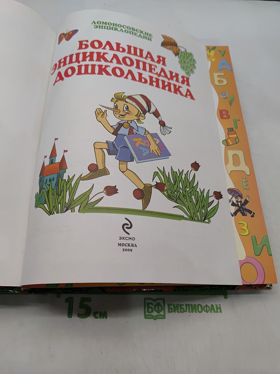 Большая энциклопедия дошкольника