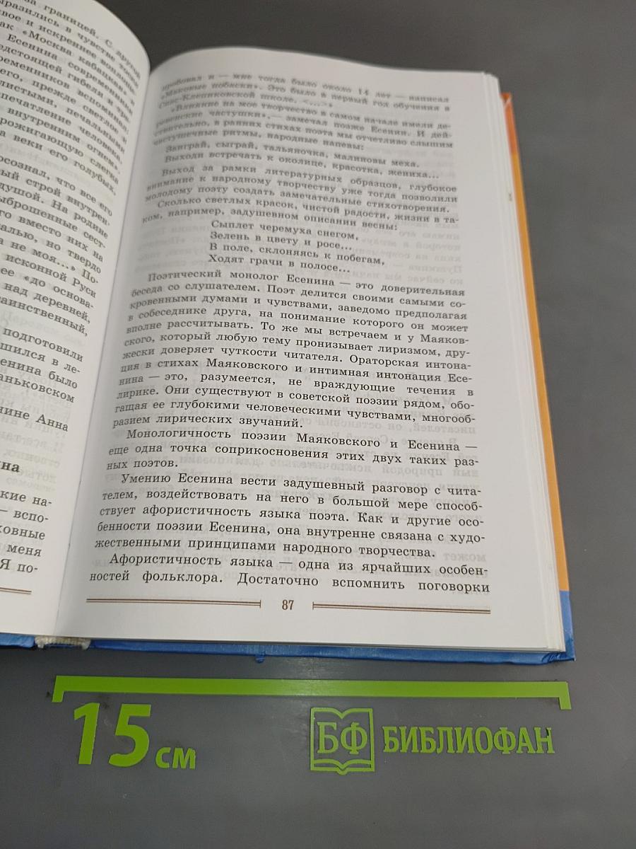 Литература 9 класс. Часть 2