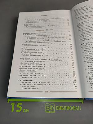 Литература 9 класс. Часть 2