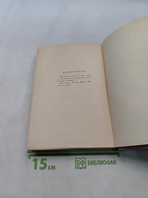 В мире безмолвия. Живое море
