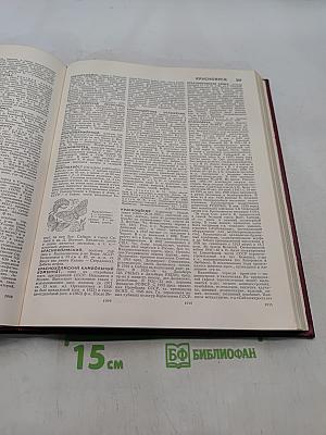 Большая Советская Энциклопедия. Том 13. Конда - Кун