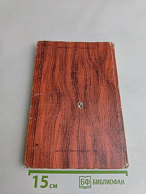 В мире русской литературы. Книга для внеклассного чтения. 4 класс
