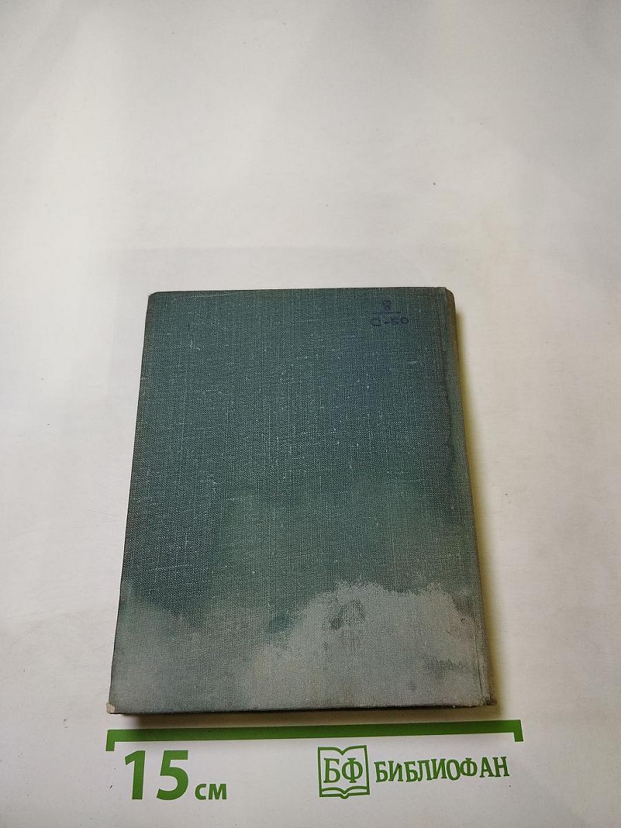 Современный портрет