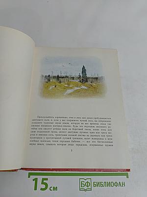 Звуки земли. Рассказы о птицах