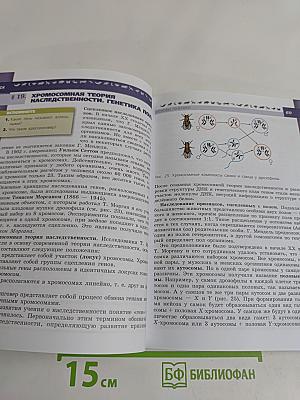 Биология. 9 класс
