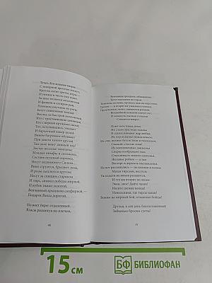 Александр Пушкин. Том 1