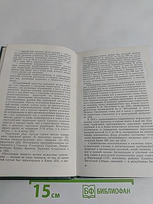 Стихийные явления в природе