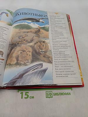Большая книга «Почему?»
