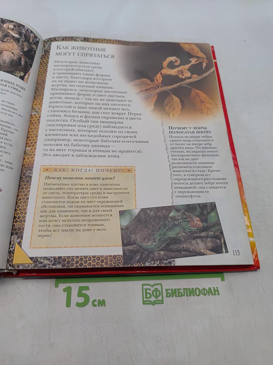 Большая книга «Почему?»