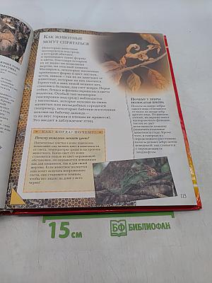 Большая книга «Почему?»