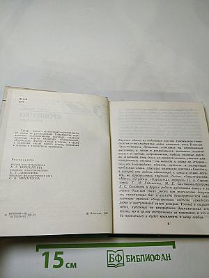 Ярошенко в петербурге