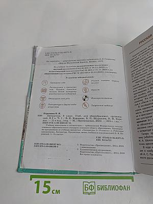 Литература. 8 класс. Часть 1