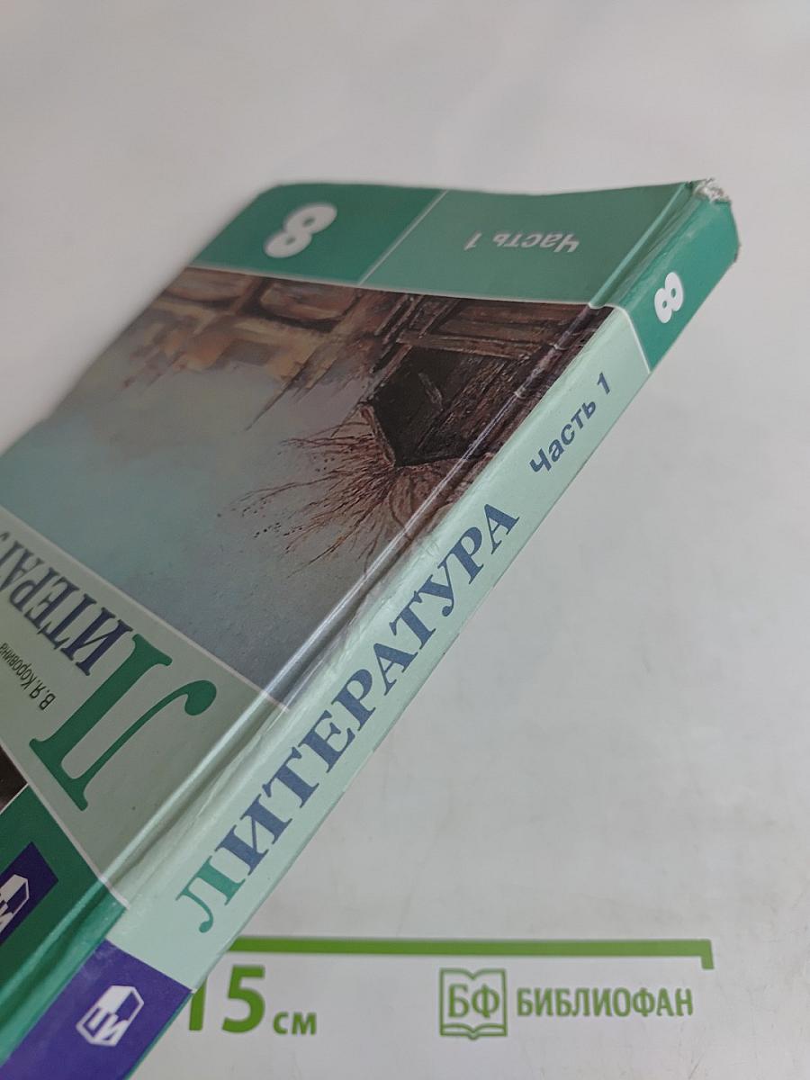 Литература. 8 класс. Часть 1