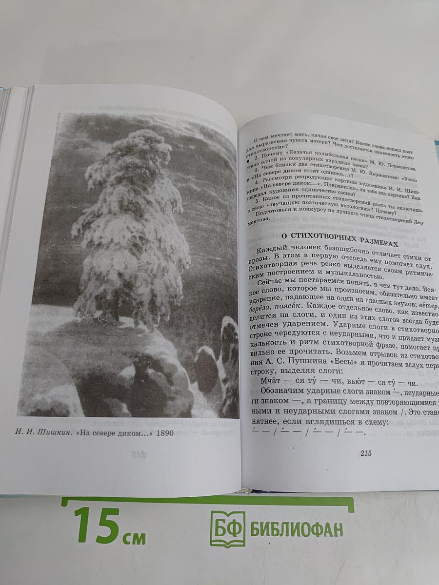 Литература. Начальный курс. Учебник-хрестоматия для общеобразовательных учреждений. В двух частях. Часть 1