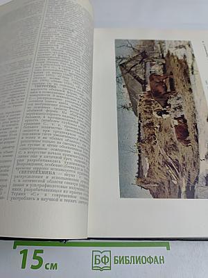 Большая Советская Энциклопедия. Том 38. Самойловка — Сигиллярии