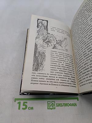 Шамиль на Кавказе и в России. Биографический очерк