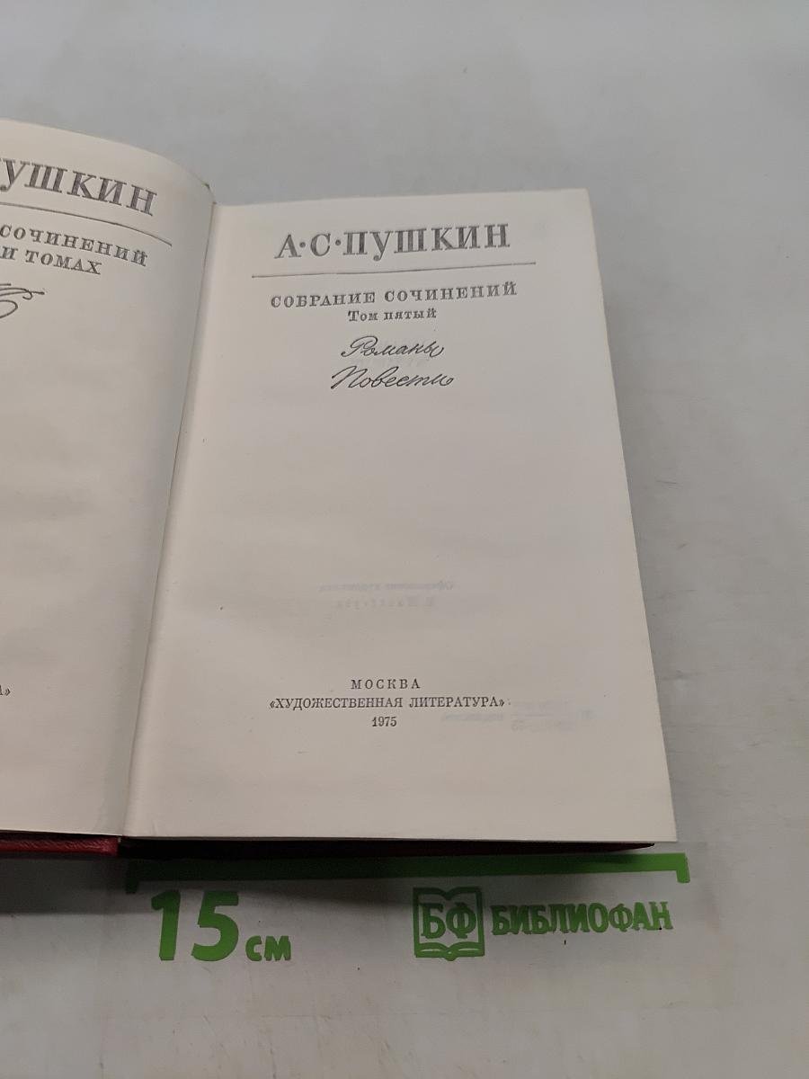 Собрание сочинений. Том пятый. Романы и повести