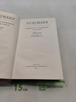 Собрание сочинений. Том пятый. Романы и повести