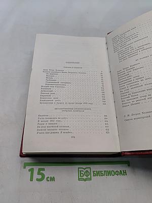 Собрание сочинений. Том пятый. Романы и повести