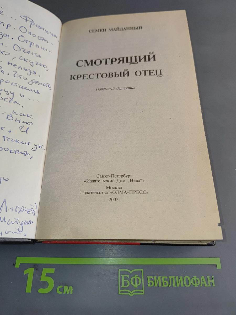 Смотрящий. Крестовый отец