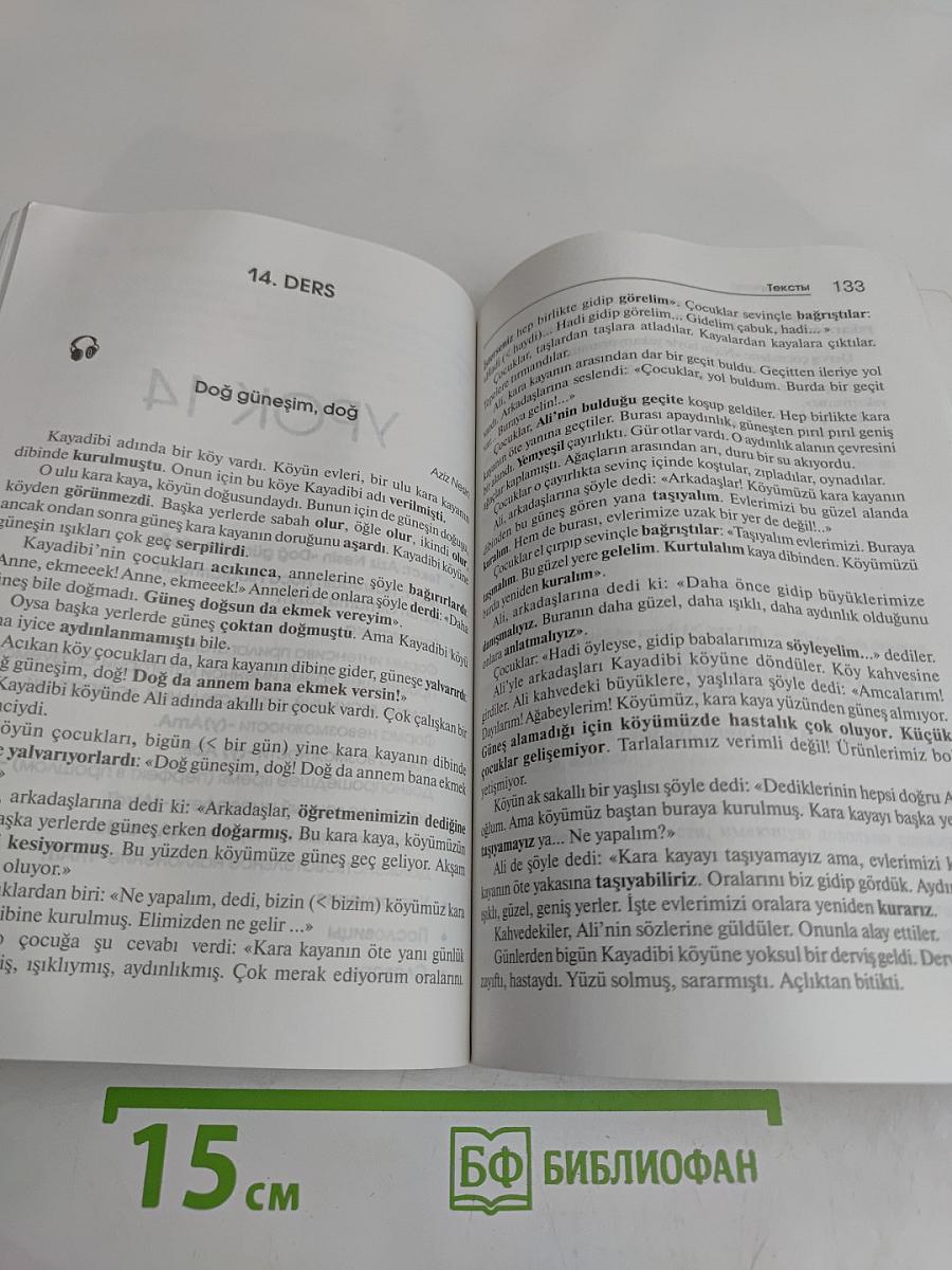 Турецкий язык. Начальный курс