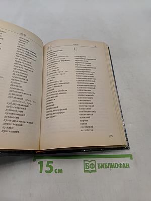 Слова с удвоенными согласными. Словарь-справочник