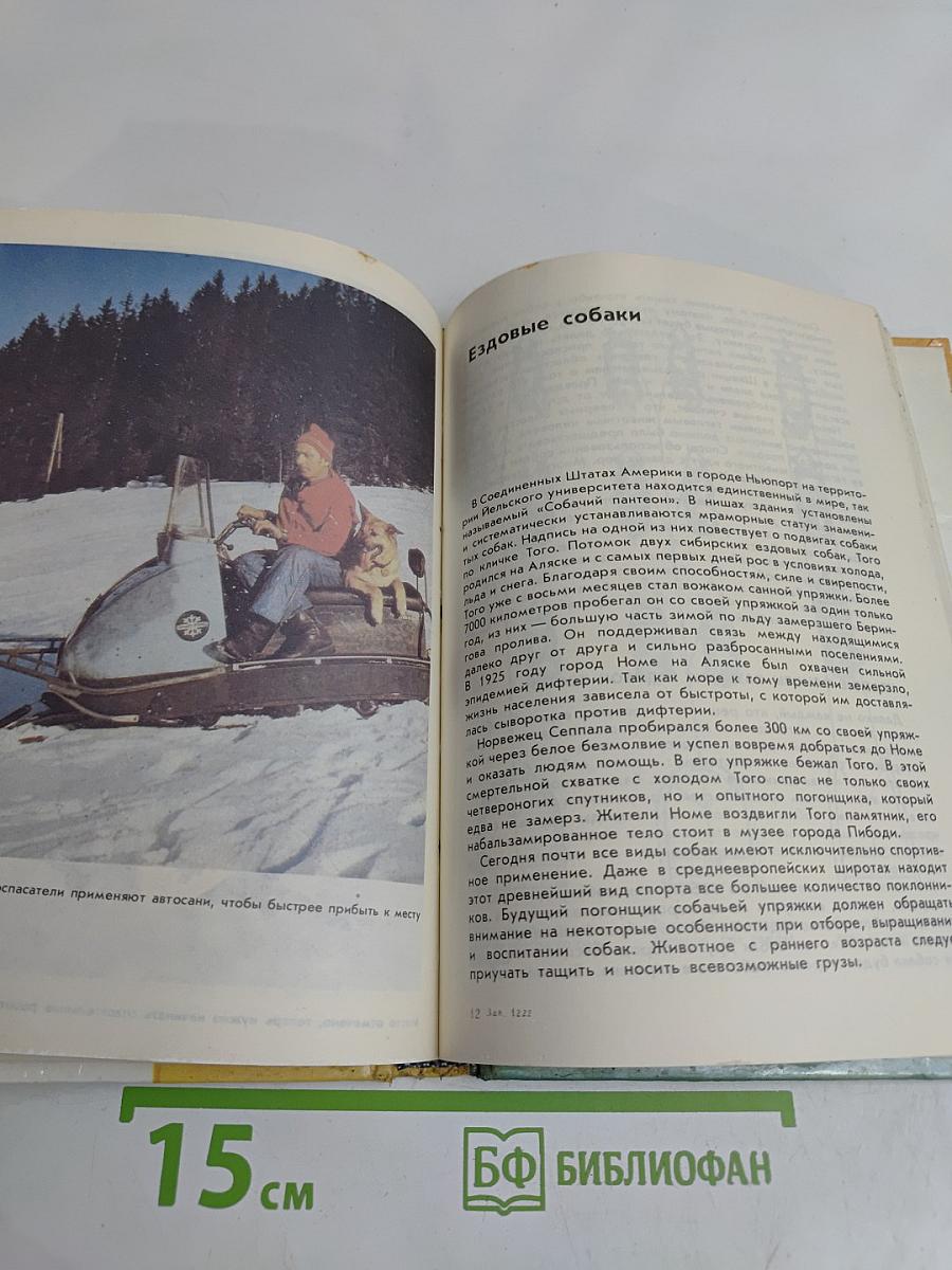 Воспитание собаки