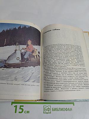 Воспитание собаки