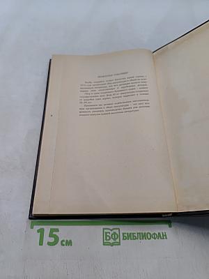 Черный консул