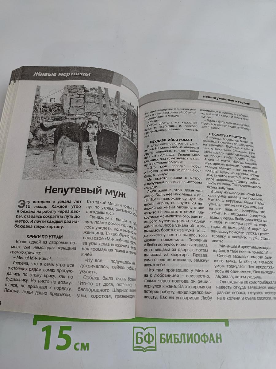 Загробный мир. Мертвые среди живых