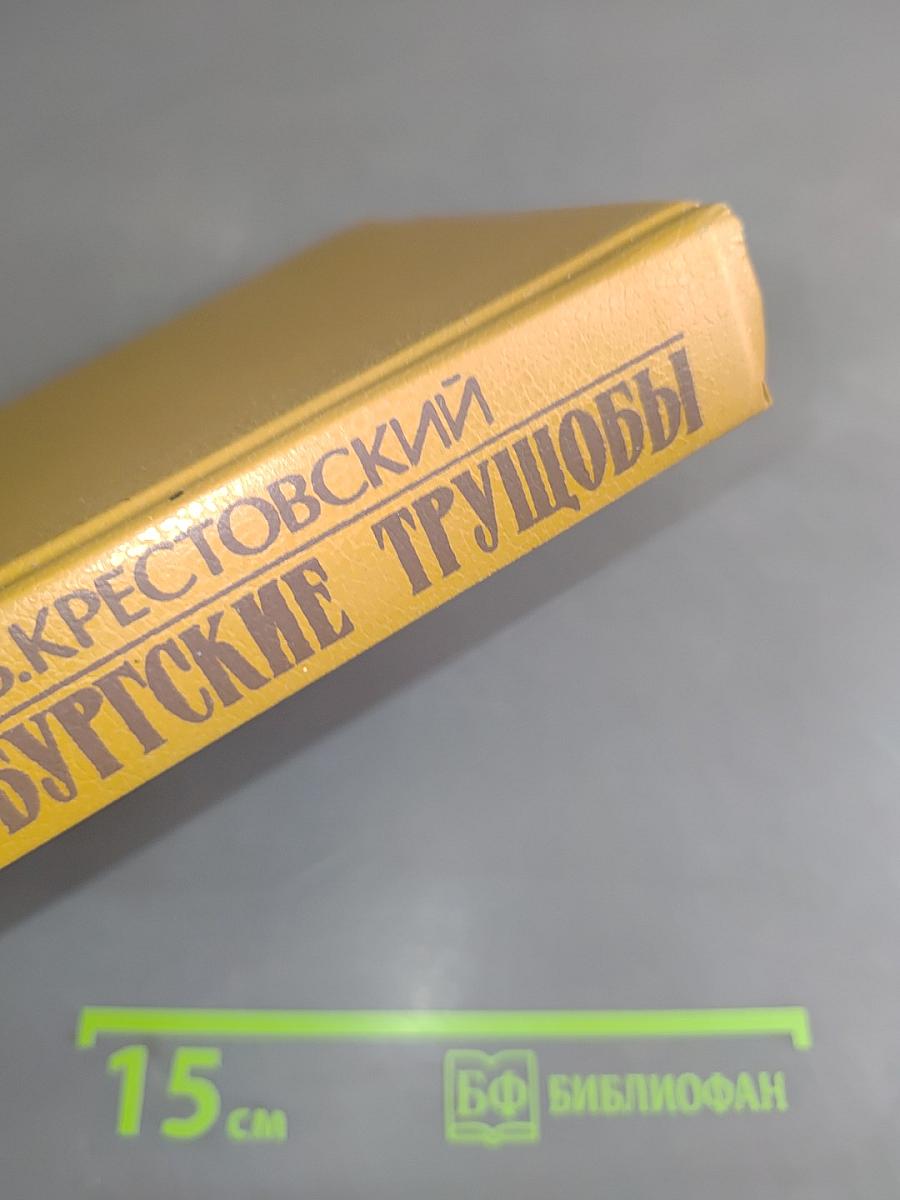 Петербургские трущобы (Книга первая)