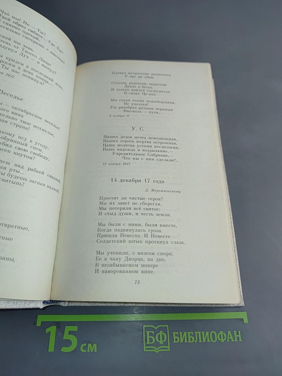 Серебряный век. Петербургская поэзия конца XIX — начала XX в.